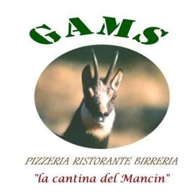 Birreria Pizzeria Ristorante GAMS (Predazzo)
